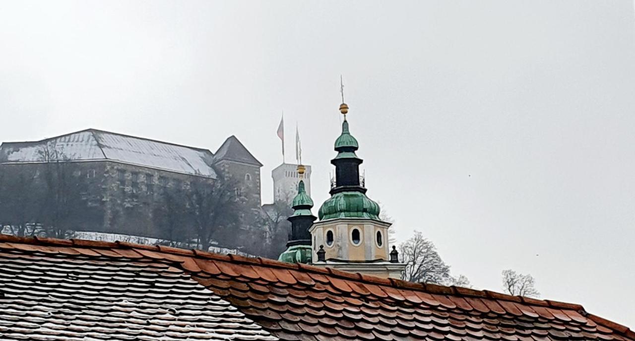 Petkovsek Rooms And Apartments Ljubljana Exterior foto